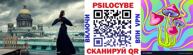 Галлюциногенные грибы Psilocybine cubensis Пустошка